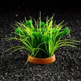 Декор для аквариума