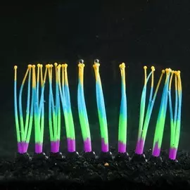 Декор для аквариума coral wall силиконовая, святящееся в темноте, 14 х 8,5 см, разноцветная 710884