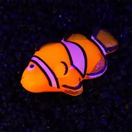 Декор для аквариума