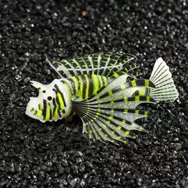 Декор для аквариума