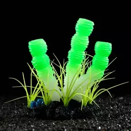 Декор для аквариума