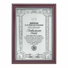 Диплом в рамке