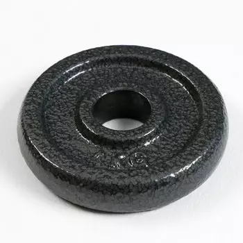 Диск 1 кг, d=29 мм