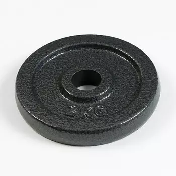 Диск 2 кг, d=29 мм