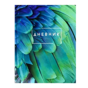 Дневник для 5-11 классов,