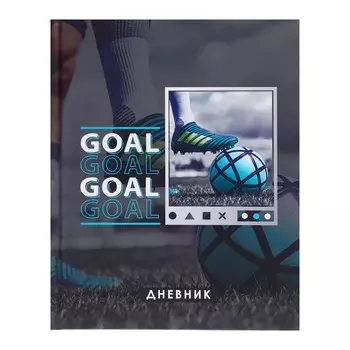 Дневник для 5-11 классов,