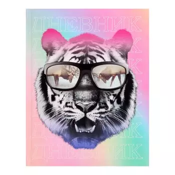 Дневник для 5-11 классов,