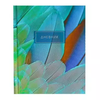 Дневник для 5-11 классов,