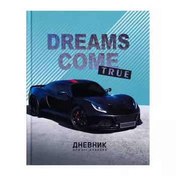Дневник для 5-11 классов, dreams come true, твердая обложка 7бц, матовая ламинация, тиснение фольгой, 48 листов