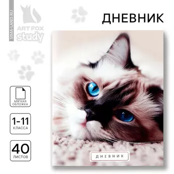 Дневник школьный 1-11 класс, в мягкой обложке, 40 л