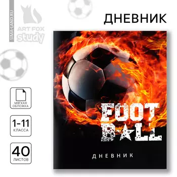 Дневник школьный 1-11 класс, в мягкой обложке, 40 л