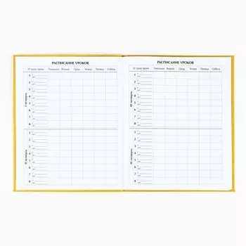 Дневник школьный для 1-11 класса, в интегральной обложке, 40 л.