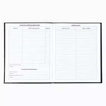 Дневник школьный для 1-11 класса, в интегральной обложке, 40 л. gold shine