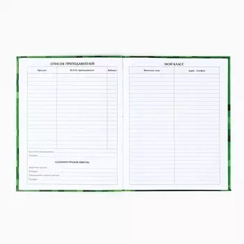 Дневник школьный для 1-11 класса, в интегральной обложке, 40 л.