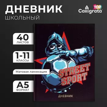 Дневник школьный для 1-11 классов, street sport, твердая обложка 7бц, матовая ламинация, тиснение фольгой, 40 листов