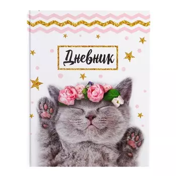 Дневник школьный для 1-11 классов,