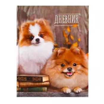 Дневник школьный для 1-11 классов,