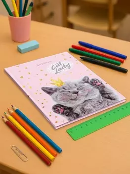 Дневник универсальный для 1-11 классов,