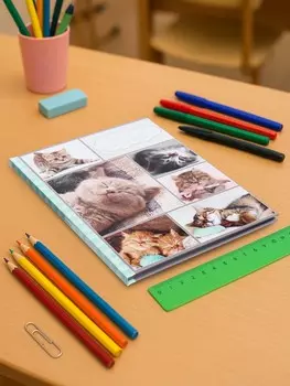 Дневник универсальный для 1-11 классов,