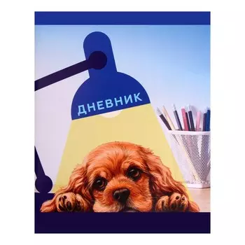 Дневник в мягкой обложке, для 1-11 классов, 40 листов, calligrata