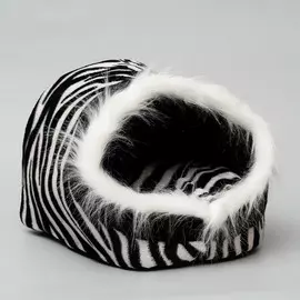 Дом