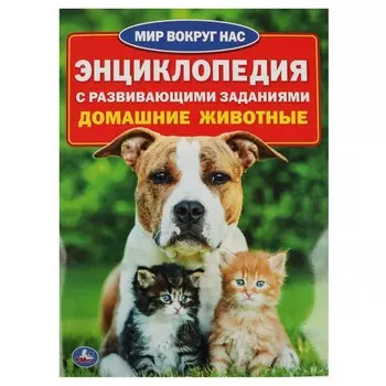 Домашние животные