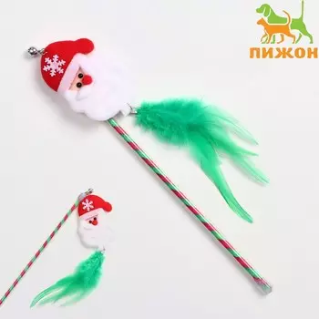 Дразнилка для кошек с бубенчиком