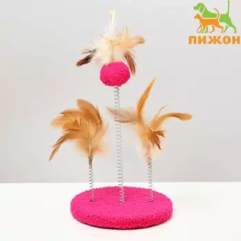 Дразнилка на основании