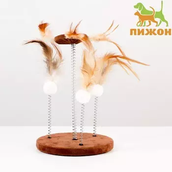 Дразнилка на основании