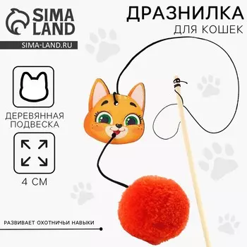 Дразнилка с деревянной подвеской