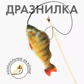 Дразнилка с игрушкой