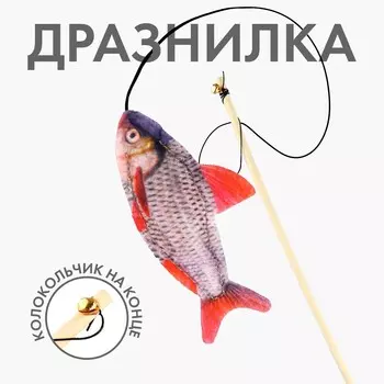 Дразнилка с игрушкой