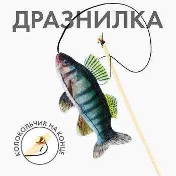 Дразнилка с игрушкой