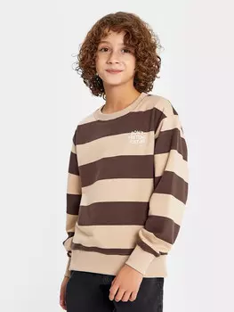 Джемпер для мальчиков в коричнево-бежевую полоску