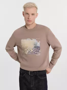 Джемпер мужской бежевый с печатью