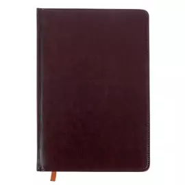 Ежедневник датированный 2021 годом,