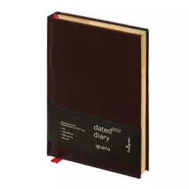 Ежедневник датированный 2022 год