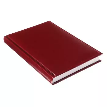 Ежедневник недатированный а5, 160 листов