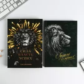 Ежедневник а5, 80 листов, недатированный, в подарочной коробке