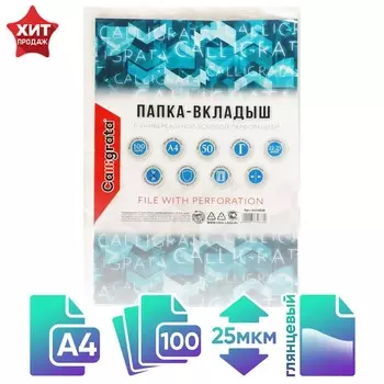 Файл-вкладыш а4, 22-25 мкм, calligrata, глянцевый, вертикальный, 100 штук
