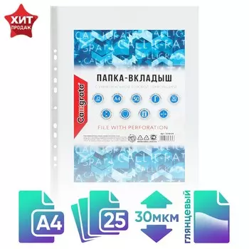 Файл-вкладыш а4, 30 мкм, calligrata, глянцевый, вертикальный, 25 штук