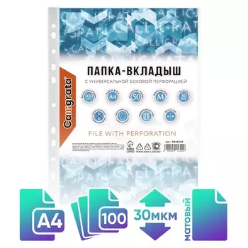 Файл-вкладыш а4, 30 мкм, calligrata, матовый, вертикальный, 100 штук