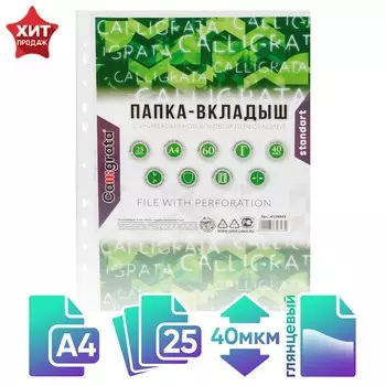 Файл-вкладыш а4, 40 мкм, calligrata, глянцевый, вертикальный, 25 штук