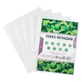 Файл-вкладыш а5, 40 мкм, calligrata, глянцевый, вертикальный, 100 штук