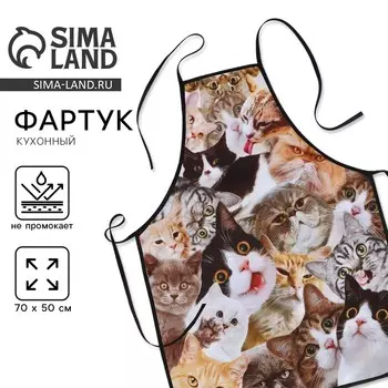 Фартук кухонный
