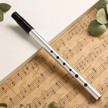 Флейта music life е, серебристая, 27,5 см