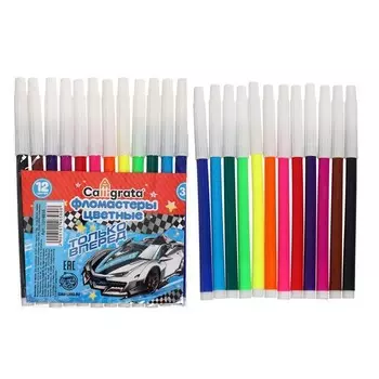 Фломастеры 12 цветов calligrata