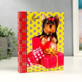 Фотоальбом