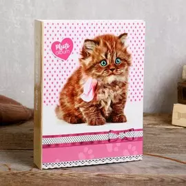 Фотоальбом