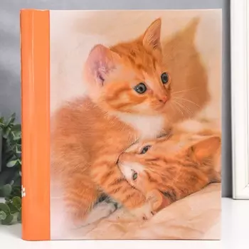 Фотоальбом 30 магнитных листов